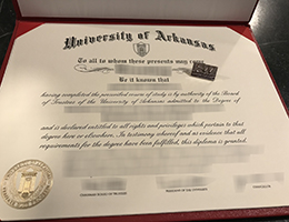 University of Arkansas degree