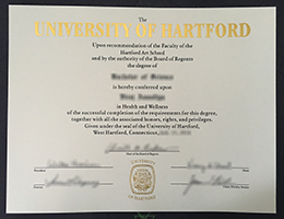 University of Hartford degree