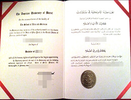 American University of Beirut diploma