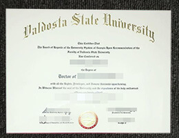 Valdosta State University diploma