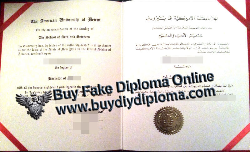 American University of Beirut diploma