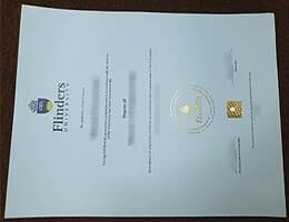 Flinders University Diploma