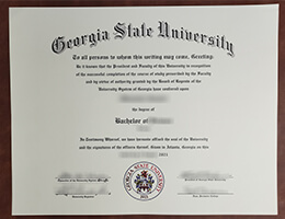 Georgia State University diploma