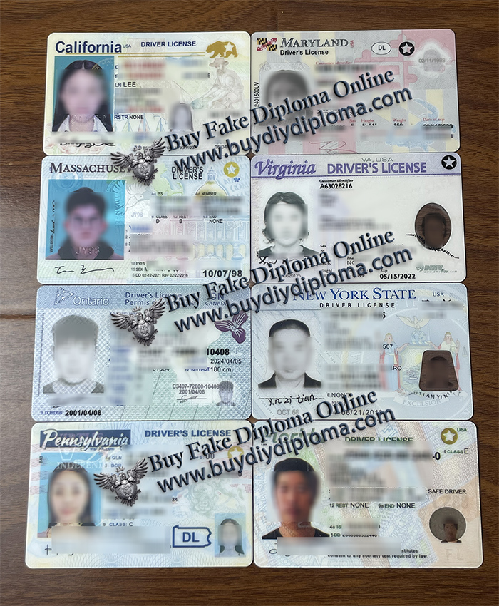 Fake Driver’s License