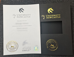 University of Newcastle degree