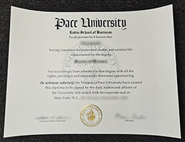 Pace University degree