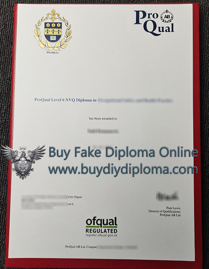 Proqual level 6 NVQ diploma