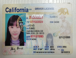 California Drivers License