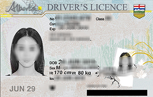 Alberta Driver's License