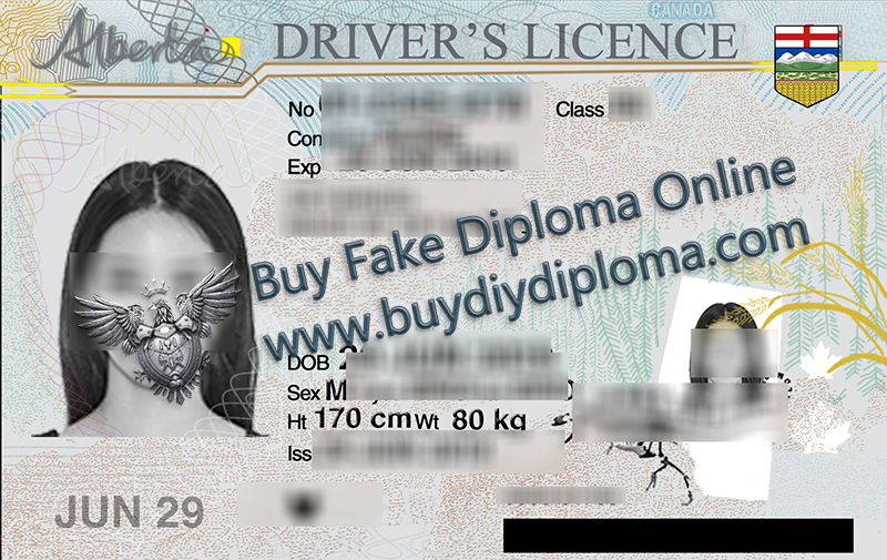 Alberta Driver's License