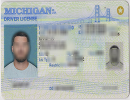 fake michigan driver's license