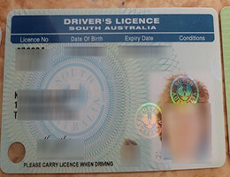 South Australian driver's license