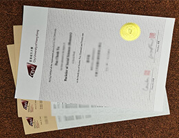 City University of Hong Kong diploma, City University of Hong Kong transcript