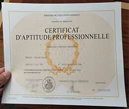 Académie de Versailles Certificate