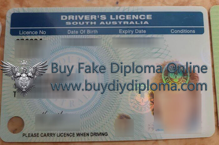  South Australian driver's license