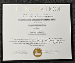 New School diploma