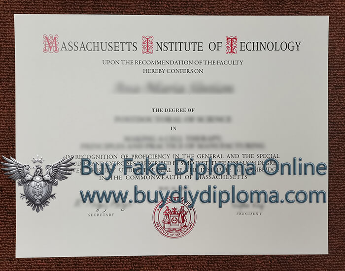 MIT diploma