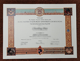 Università Di Bologna Diploma