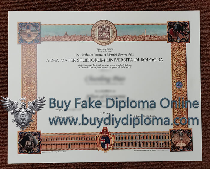 Università Di Bologna Diploma