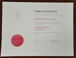 York University Bachelor's Degree