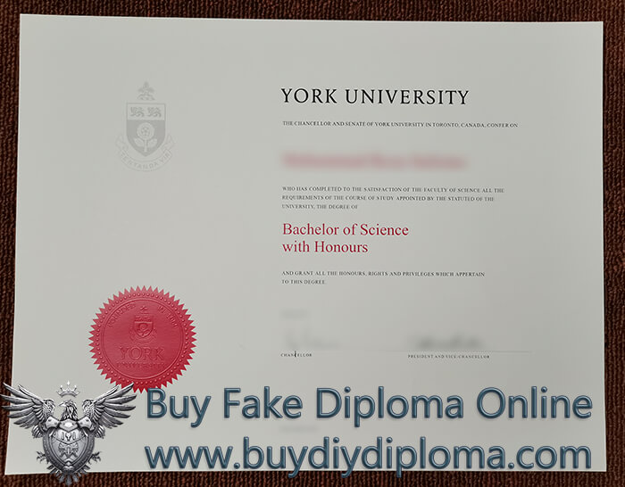 York University Bachelor's Degree