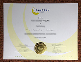 Camosun College diploma certificate