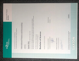 Hogeschool Saxion degree certificate