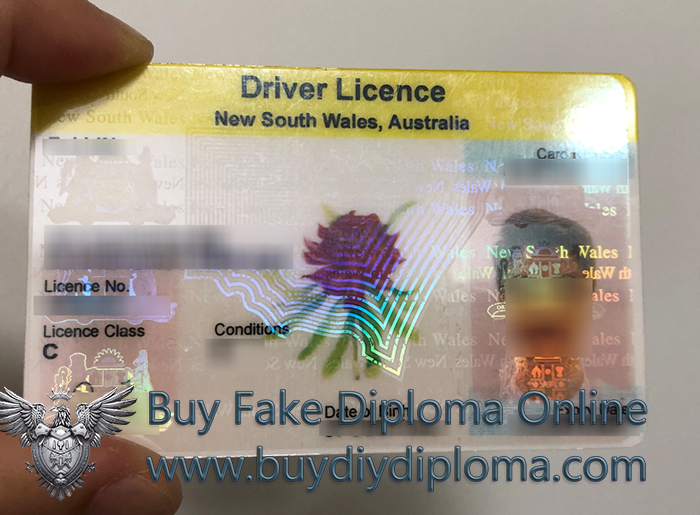 New South Wales Driver Licence sample 