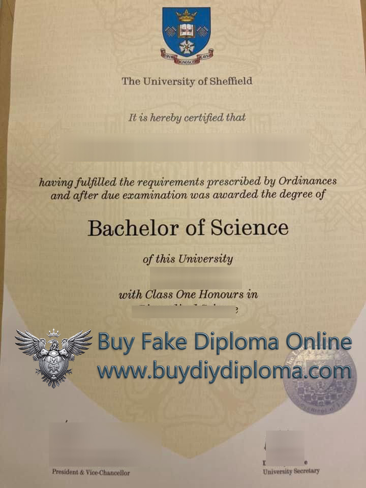 TUOS BSc degree