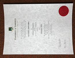 University of Limerick diploma