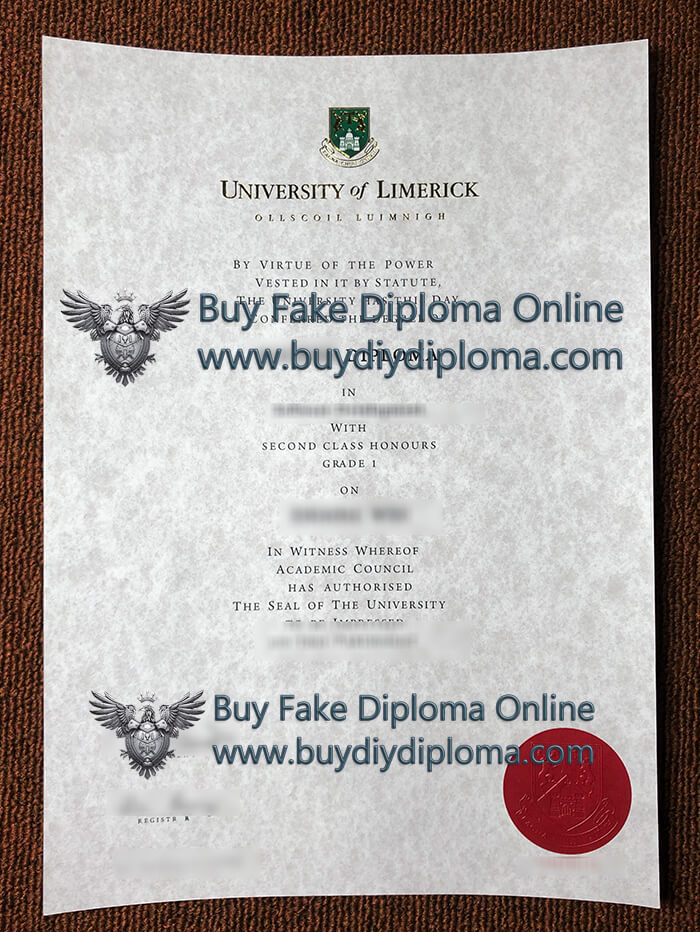 University of Limerick diploma