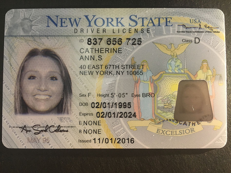 fake driver's license