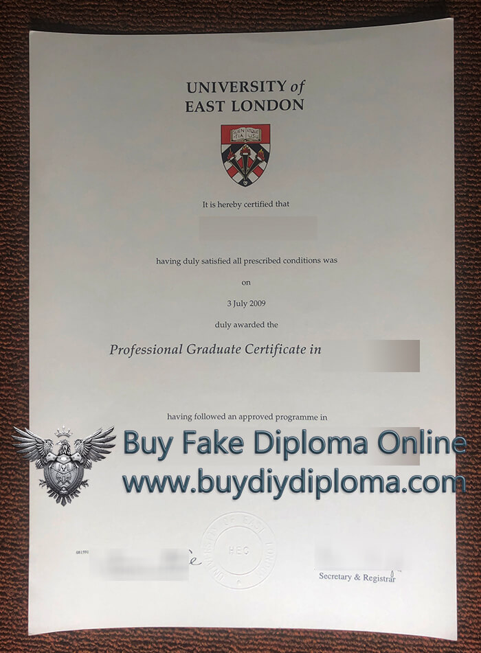 UEL degree, University of East London Professional Graduate Certificate