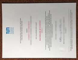 Technical University of Munich bachelor's diploma