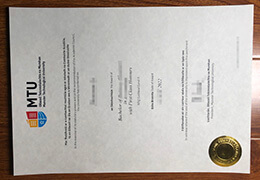 Munster Technological University diploma