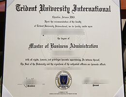 Trident University International Diploma certificate