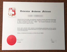 University of Malta degree