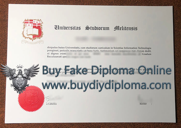 University of Malta diploma