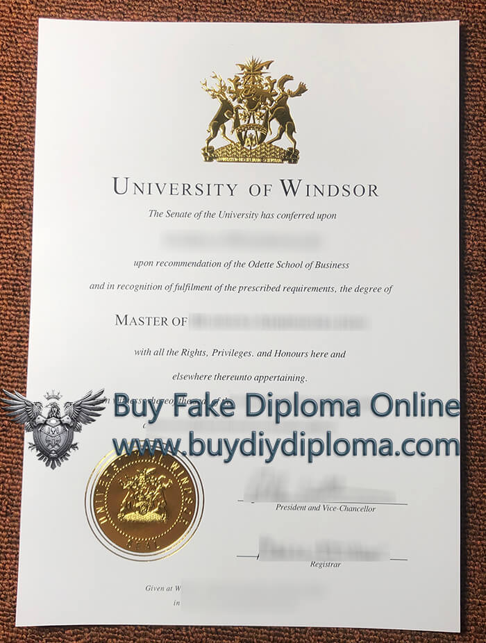 University of Windsor degree