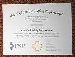 CSP certificate