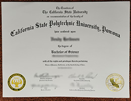 Cal Poly Pomona degree certificate