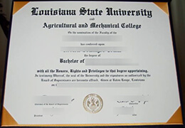 Louisiana State University degree