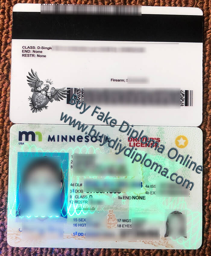 Minnesota driver’s license 