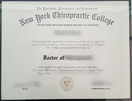 Northeast College of Health Sciences diploma