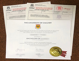 University of Calgary degree with transcript