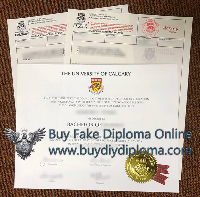 University of Calgary degree with transcript