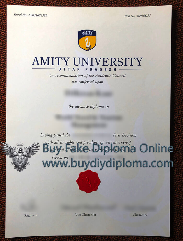 Amity University degree certificate