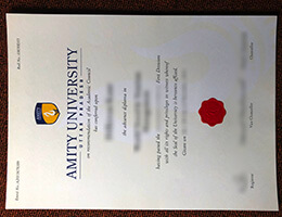 Amity University degree