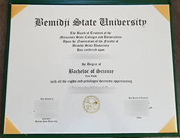 Bemidji State University diploma certifcate