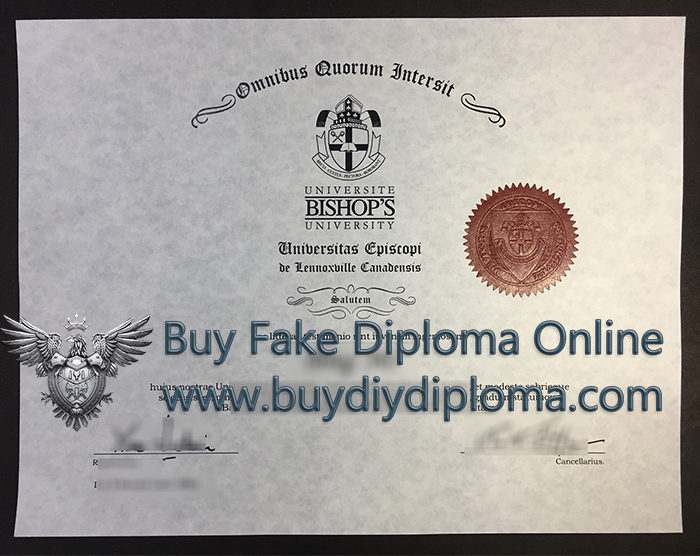 Bishop's University degree